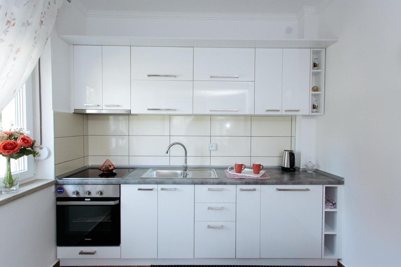 Apartmani Mikic 팔릭 외부 사진