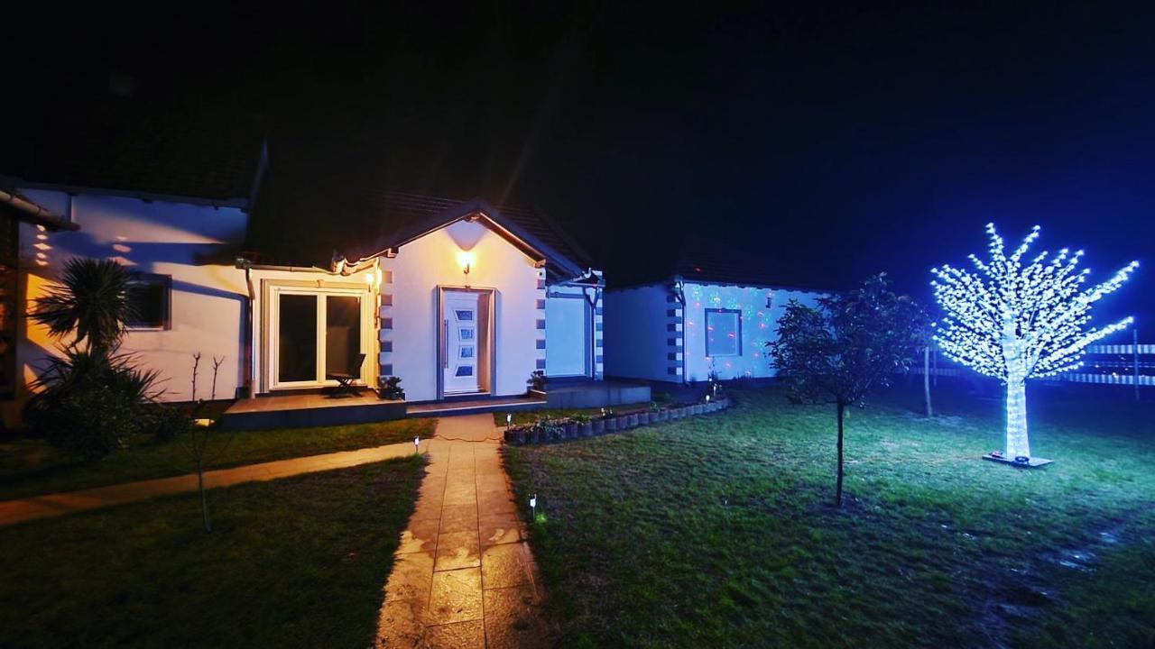 Apartmani Mikic 팔릭 외부 사진