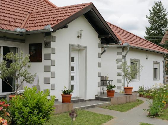 Apartmani Mikic 팔릭 외부 사진